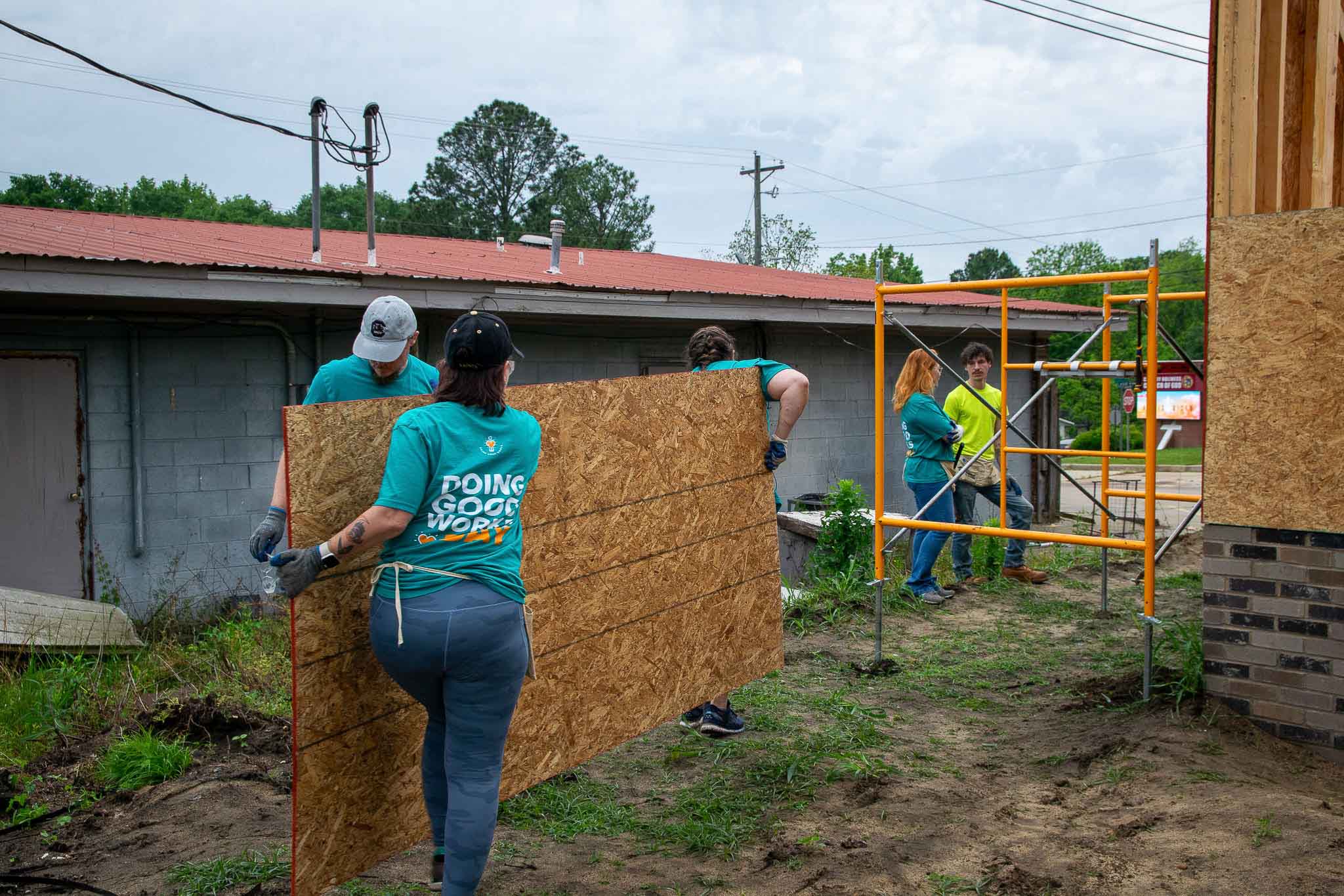 carrying plywood