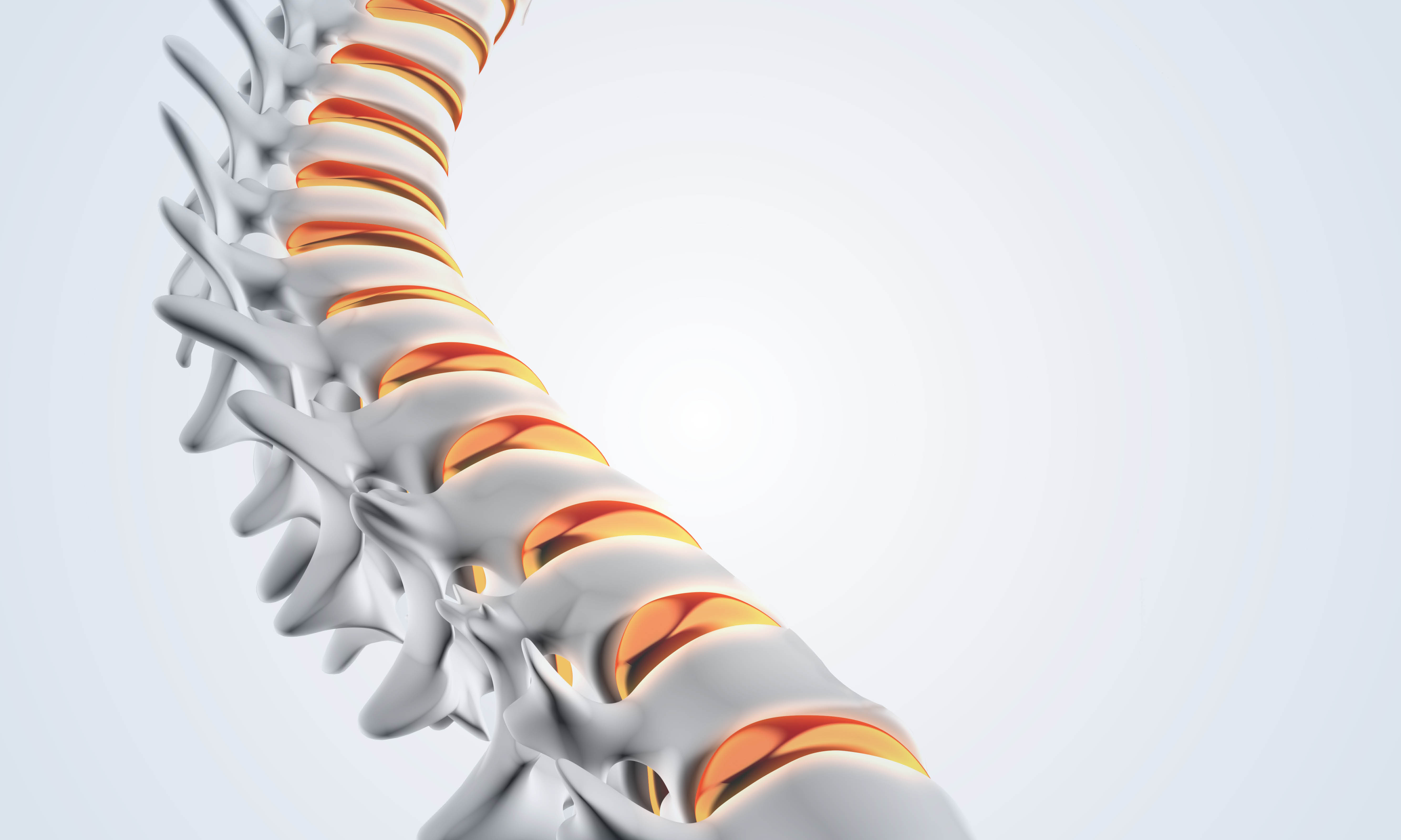 Spinal column